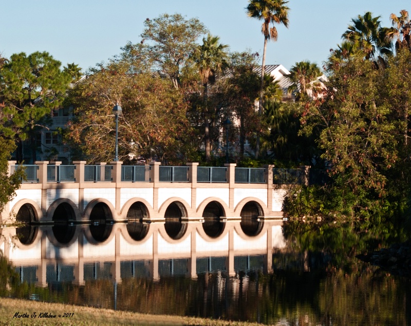 Bridge and Reflection