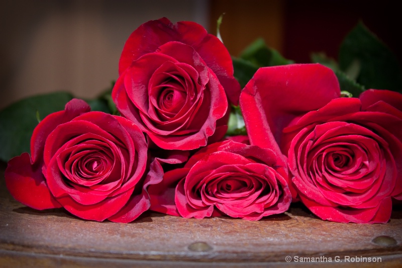 Ruby Red Roses