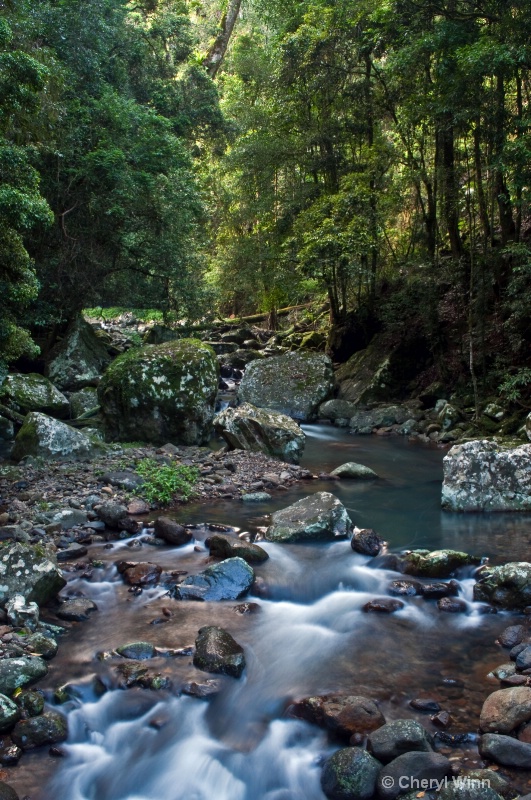  Springbrook National Park