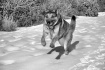 Running