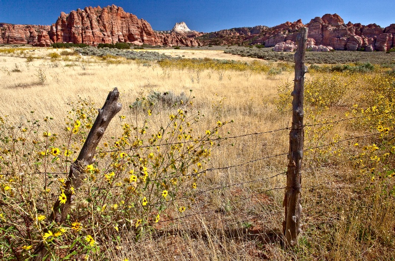 Upper Zion Canyon