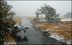 Snow on the Creek