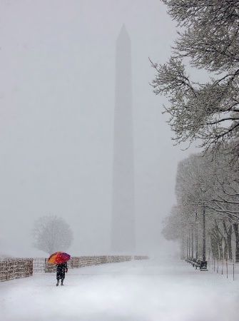 Walker in Washington White