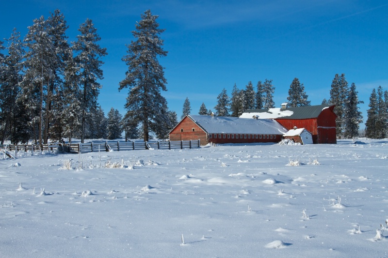 Old Barn, White Snow