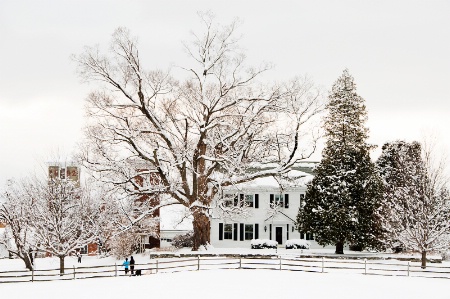 New blanket of snow