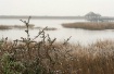 Morning of Ice an...