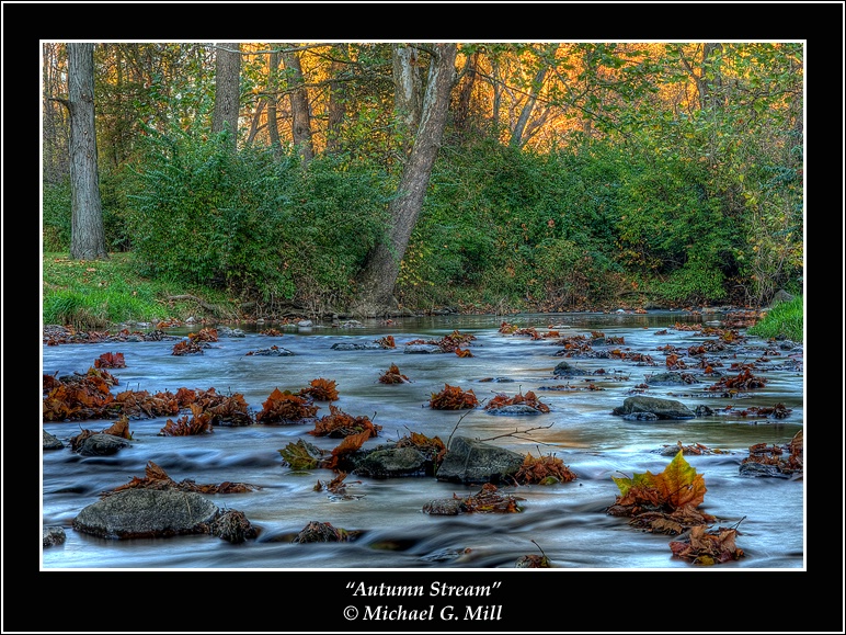  Autumn Stream