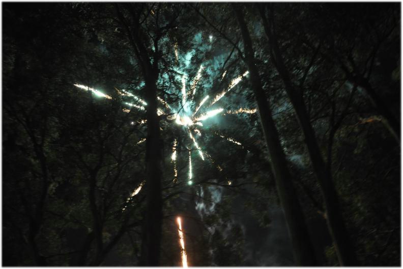 Australia Day Fireworks through the trees.