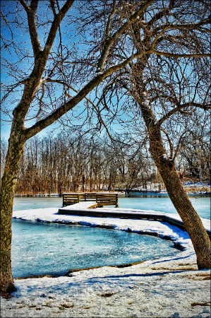 ~ WINTER IN THE PARK ~