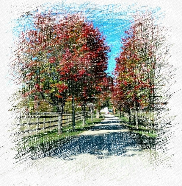the lane-2 copy - ID: 11387916 © Wanda Judd