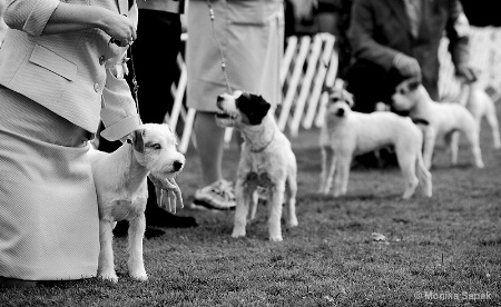 A Gathering