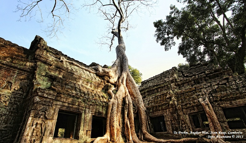 Ta Phrom Ancient Temple