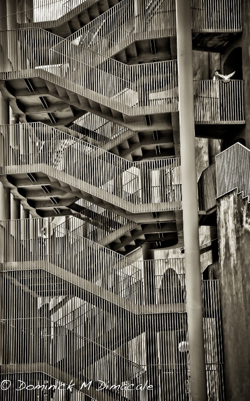~ ~ STAIRS AND RAILINGS ~ ~