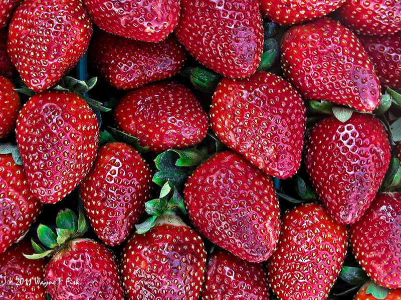 Strawberries Galore