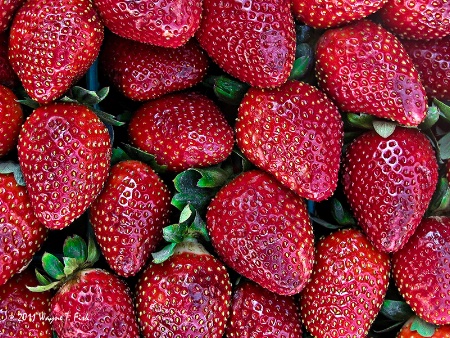 Strawberries Galore