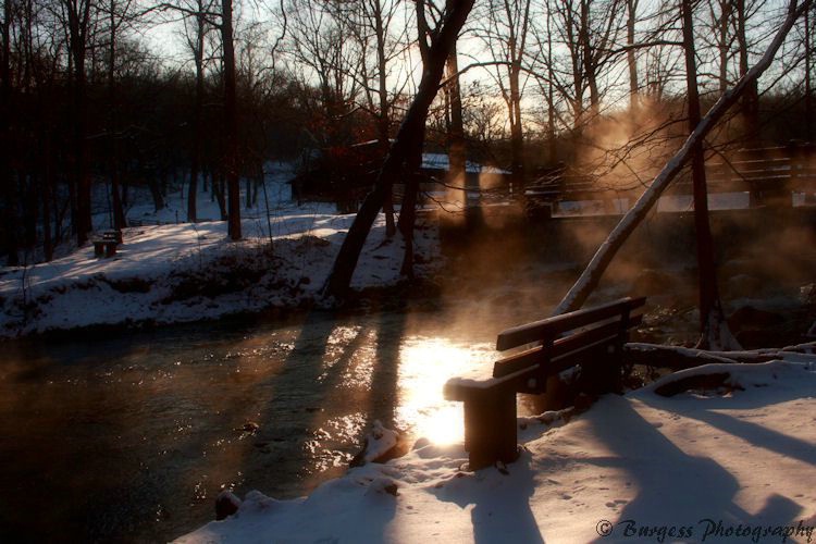 Bench in Winter