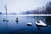 Little Islands wi...