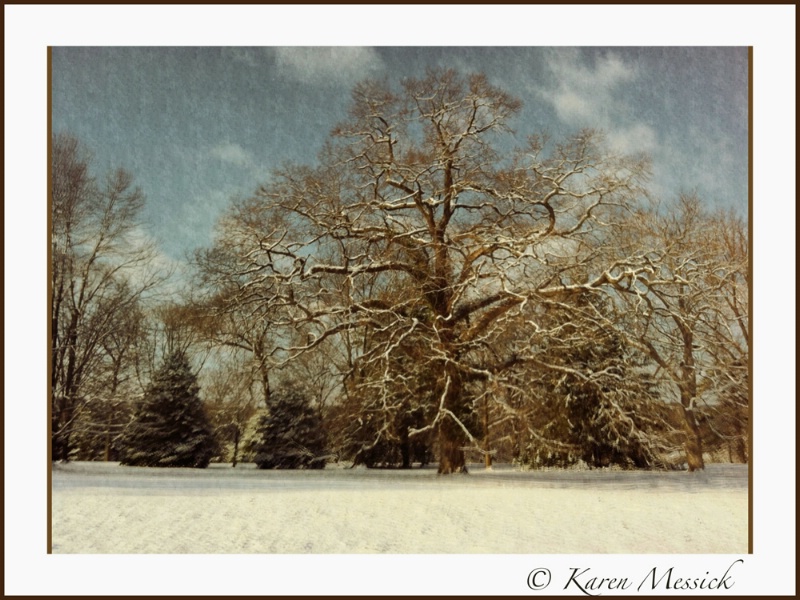 Grand Tree - ID: 11405766 © Karen L. Messick