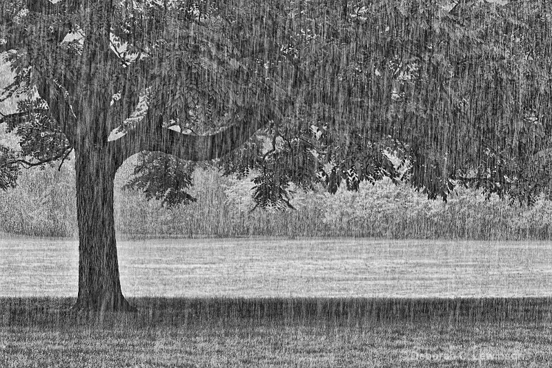 Rain - ID: 11419536 © Deborah C. Lewinson