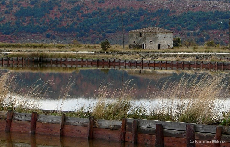 salt fields