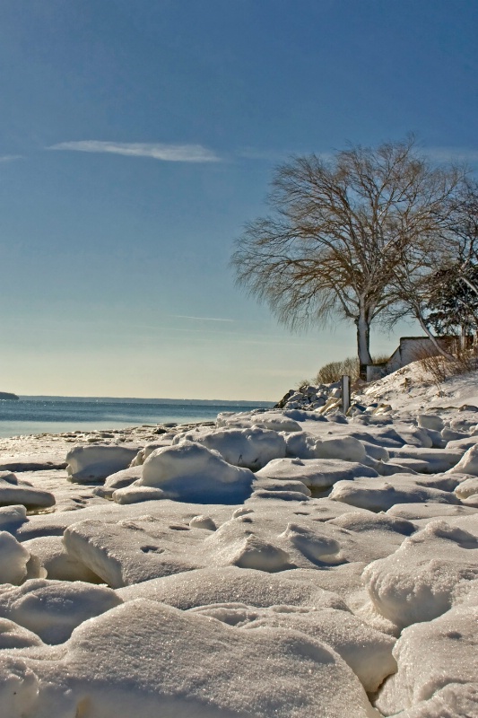 The Beach in Winter