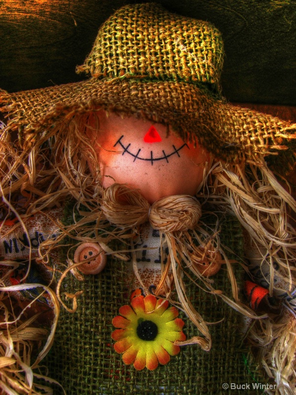 scarecrow from the farmer's market