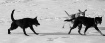 Run