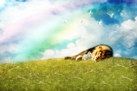 Promise of Peace