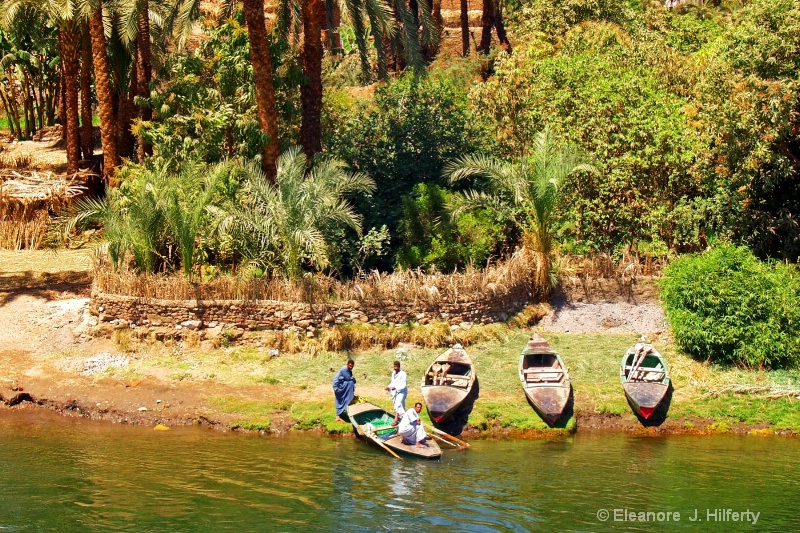 Nile River Bank  with native boats