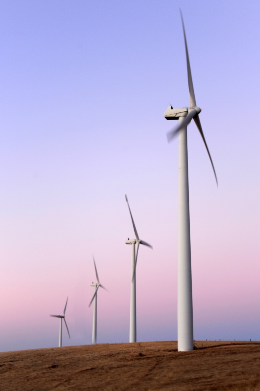 Windmills at Cape Jervis
