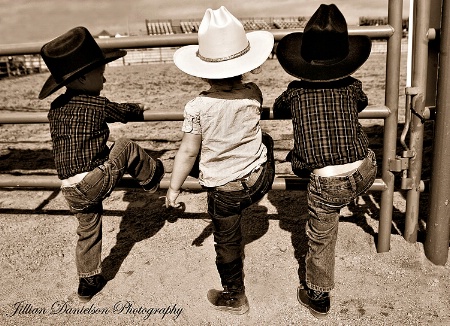 Lil Wranglers