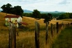 Rural Beauty
