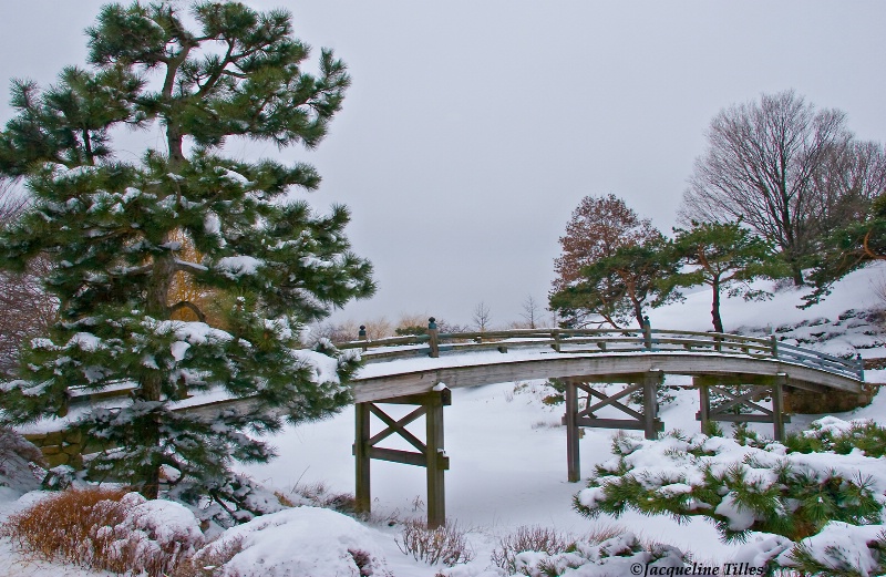 Japanese Garden in Winter - ID: 11427385 © Jacqueline A. Tilles