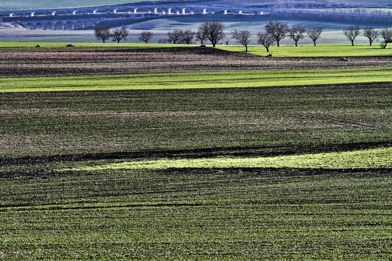 Parco Nazionale dell'Alta Murgia 