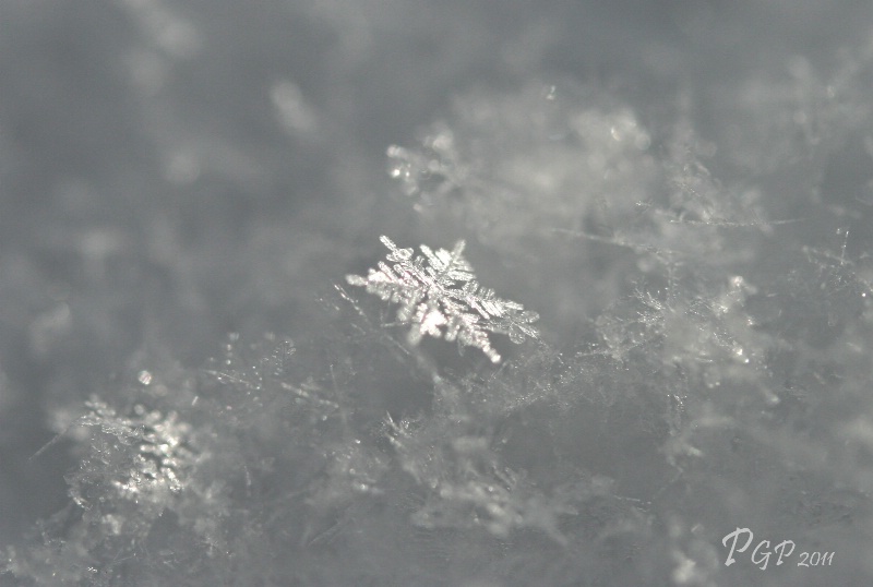 Tiny Snowflake