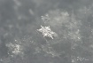 Tiny Snowflake