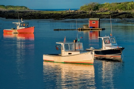 Summertime- Cape Porpoise