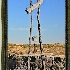 © Emile Abbott PhotoID # 11433698: Framed Windmill