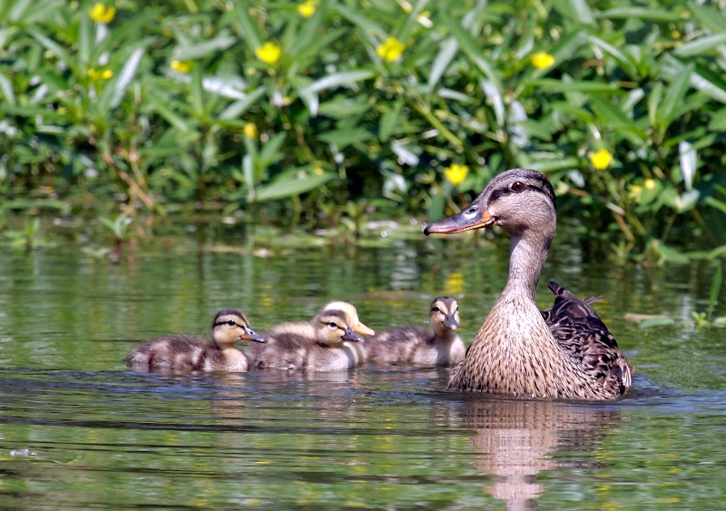 When Mama Is Happy, Everyone's Happy