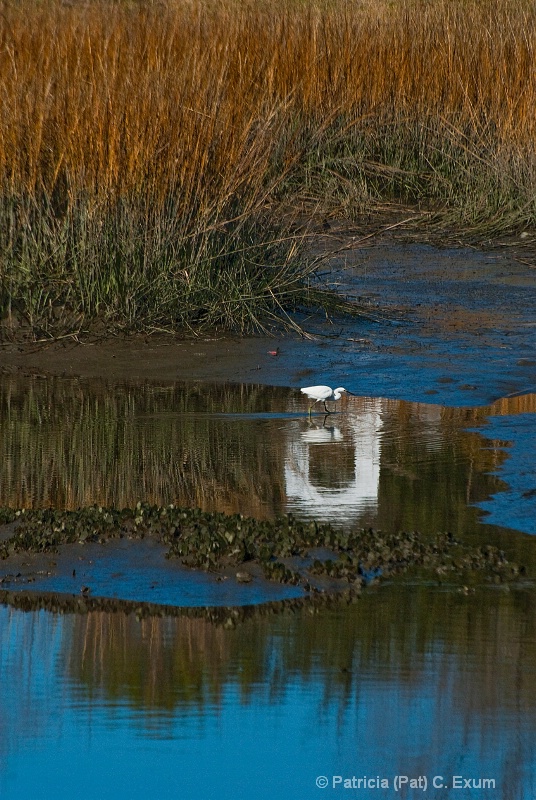 egret in keyhole reflection dsc 0604