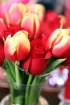 Sweet Valentine