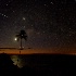 © Elliot Barnathan PhotoID# 11440723: Dominica: Shooting Star