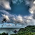 © Elliot S. Barnathan PhotoID# 11440769: Dominica 46