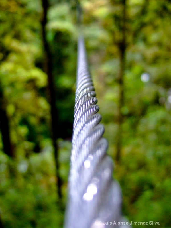 canopy cable