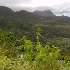 © Elliot Barnathan PhotoID# 11440955: Dominica 171