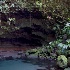 © Elliot Barnathan PhotoID# 11441047: Dominica: Emerald Pool