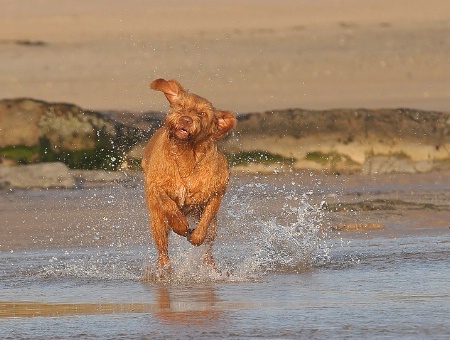 beach fun