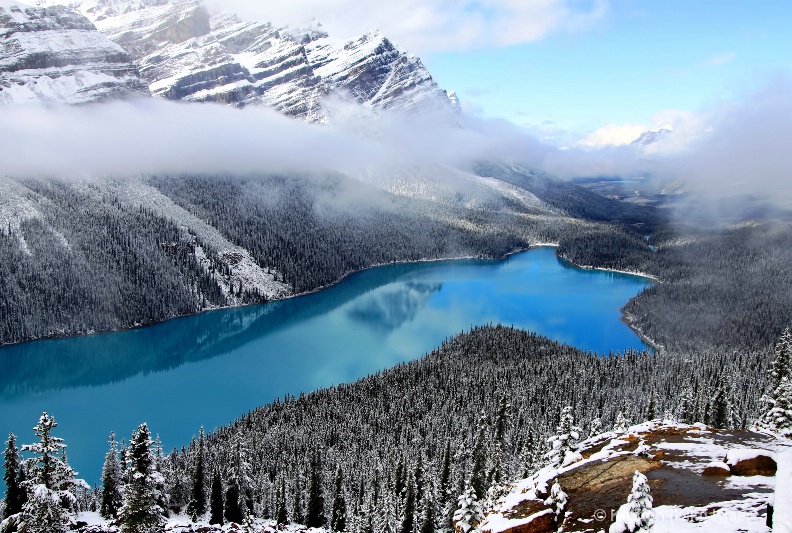 Peyto Lake In September