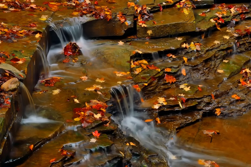 Gentle Flow of Autumn