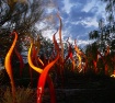 Chihuly storm